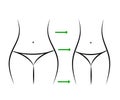 Weight loss. Silhouette of a female body. Fitness. Thin waist. Vector